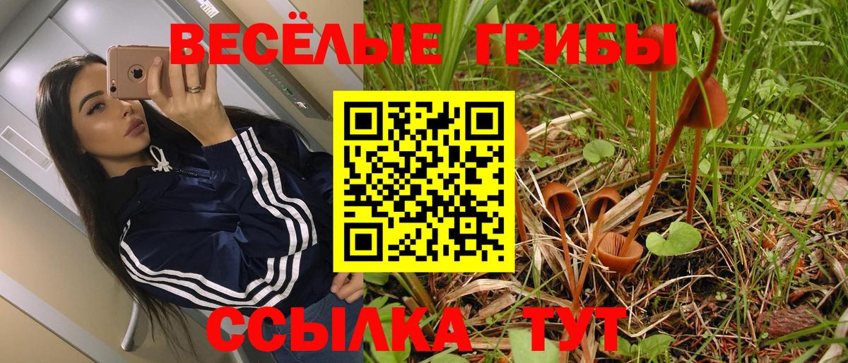 Великий Устюг  Галлюциногенные грибы Cubensis  Вход с VPN  Псилоцибиновые грибы прущие грибы 
