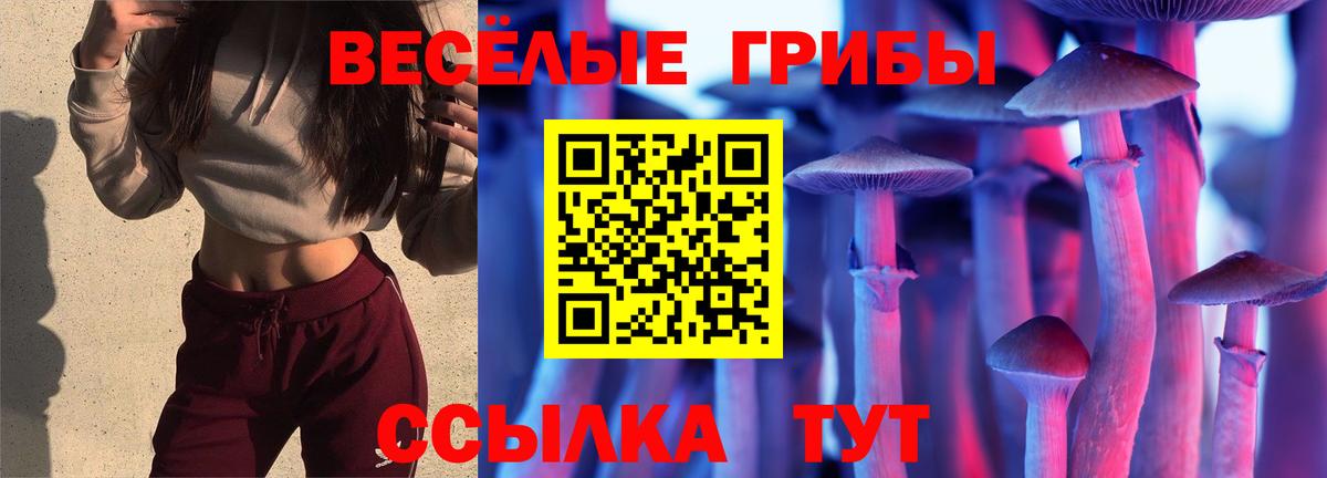 Галлюциногенные грибы Psilocybe Великий Устюг